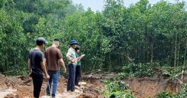 Hà Nội: 'Đất tặc' ngang nhiên phá hoại cây trồng của người dân, xúc trộm hơn 500m3 đất