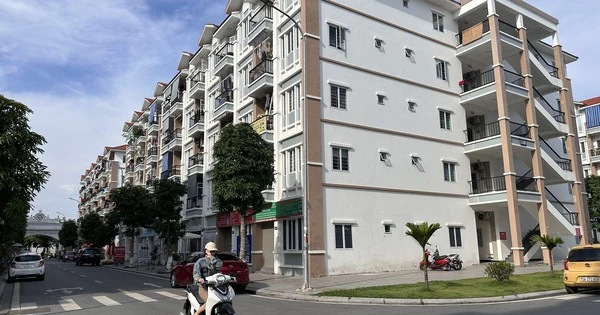 'Cò' nhà ở xã hội mua bán suất ăn chênh lệch gây nhiễu loạn thị trường