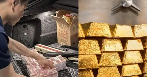 Đột kích tư gia cựu CEO công ty giao đồ ăn, tịch thu 50 kg vàng ròng trị giá 764 tỷ đồng, 44 tỷ đồng tiền mặt chất như núi và 85 tỷ đồng đồ xa xỉ