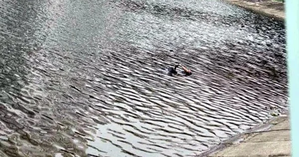 Vụ thi thể người đàn ông nổi trên hồ Linh Đàm: Hé lộ nguyên nhân