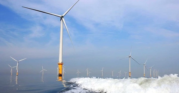 Thêm một tập đoàn năng lượng nước ngoài huỷ kế hoạch đầu tư vào điện gió ngoài khơi tại Việt Nam