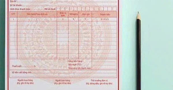 Bất thường tại lò mổ nhỏ lẻ xuất hóa đơn khống cho Công ty C.P. Việt Nam
