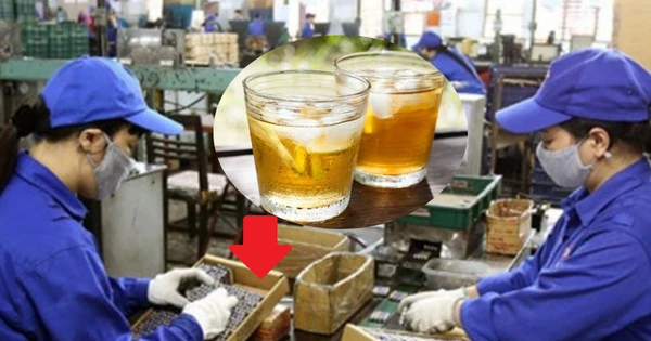 Bán sản phẩm “huyền thoại hơn 60 năm” giá chưa bằng cốc trà đá, một DN báo lãi hơn 7 tỷ đồng/tháng