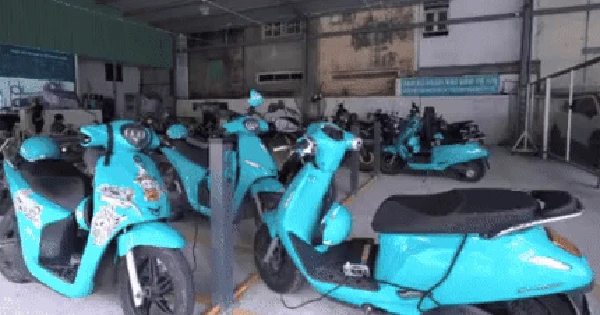 VIDEO: Thu lợi nhuận khủng hằng tháng từ quán cà phê võng kết hợp trạm sạc