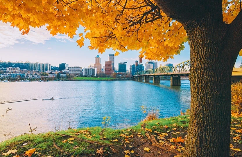 Mountains, desert and waterfalls: A points-fueled autumn road trip through Oregon's natural wonders