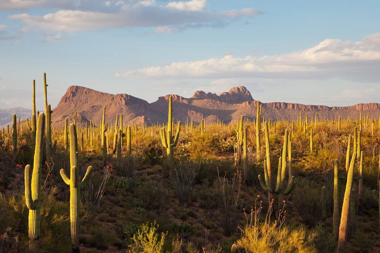 11 best spring break destinations in the US