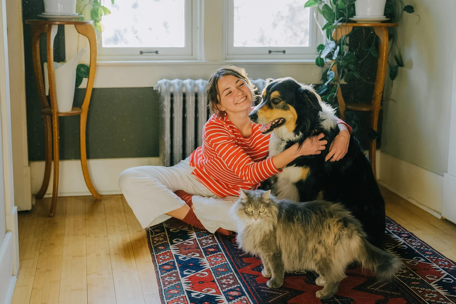 Pet insurance and rewards: What makes the Nibbles Pet Rewards Credit Card special
