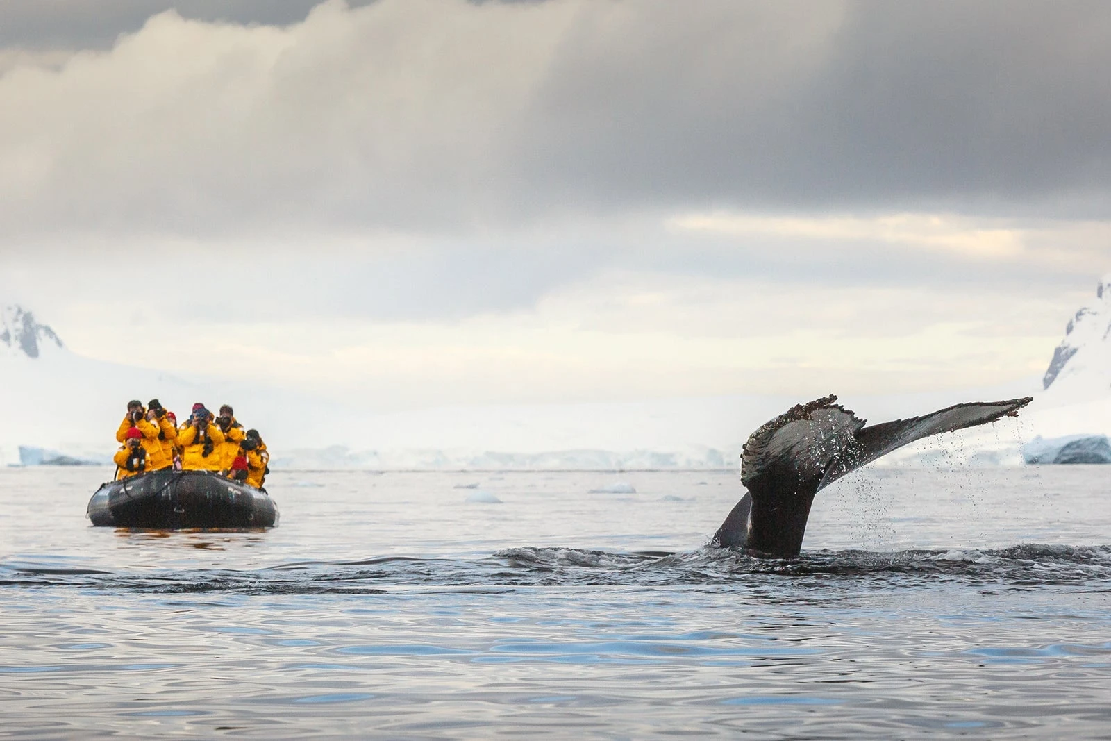 Antarctica reading list: The 8 best books to read before a trip