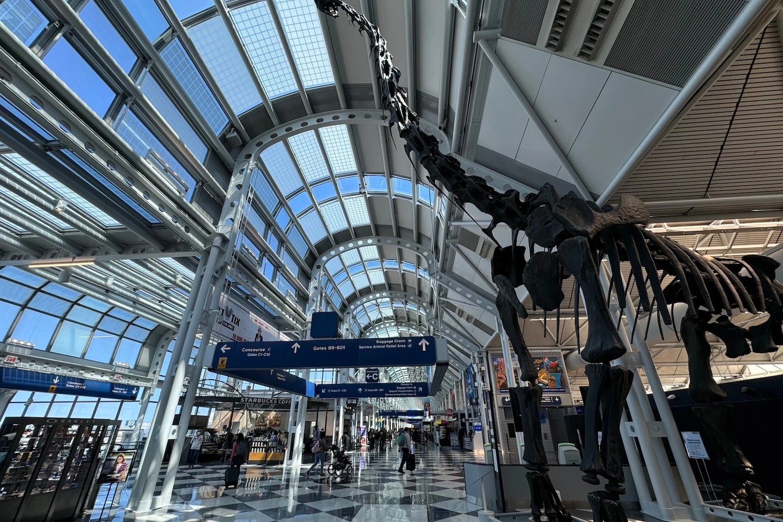 Chicago flight cuts coming: FAA orders airlines to reduce O'Hare schedules to cool turf war