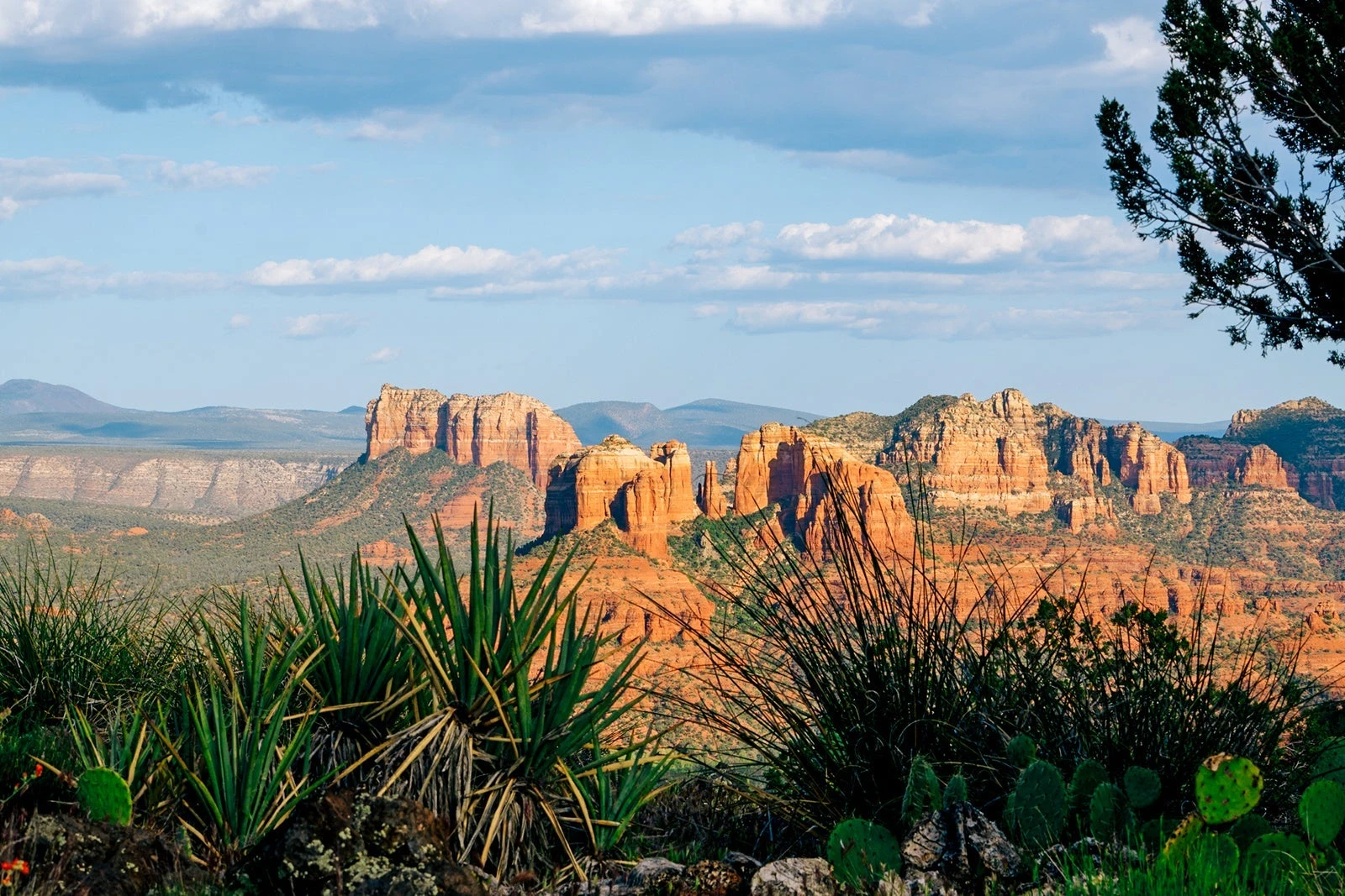 9 best places to travel solo in the US in 2026