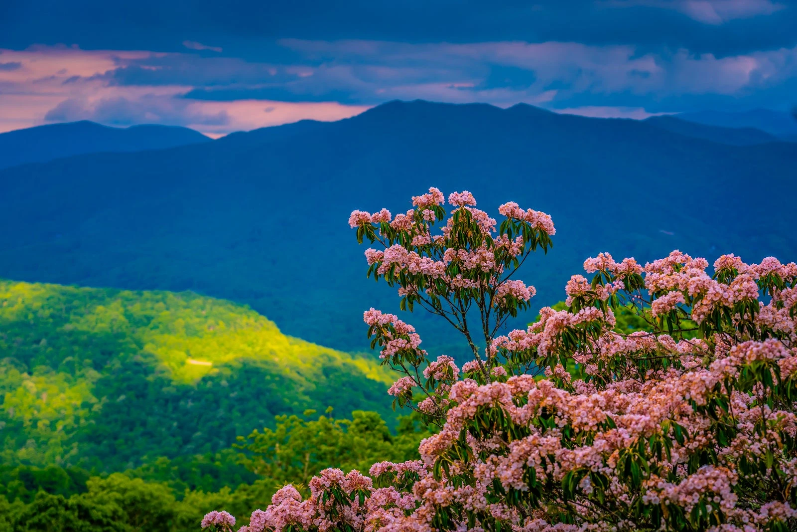 9 underrated spring travel destinations for 2026