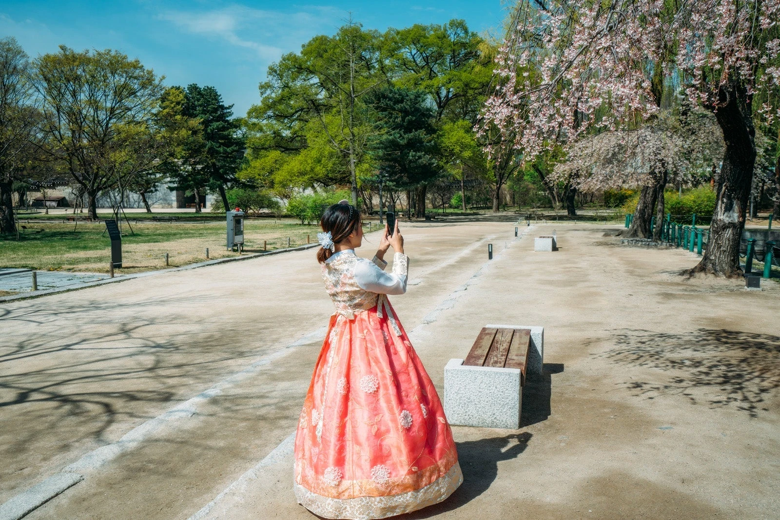 The 12 best places to see cherry blossoms abroad this spring