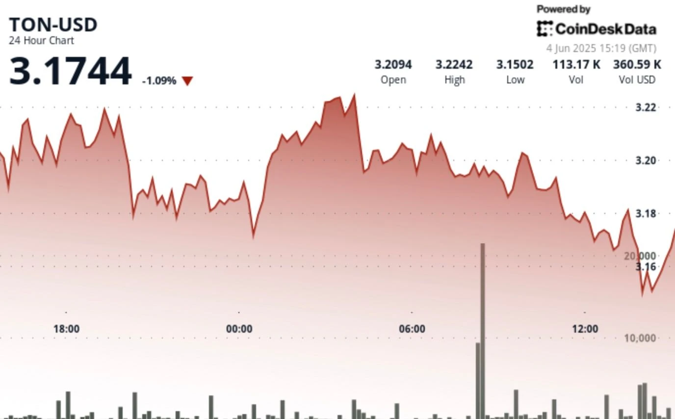 TON Dips as 'Double Top' Pattern Potentially Signals Short-Term Bearish Trend