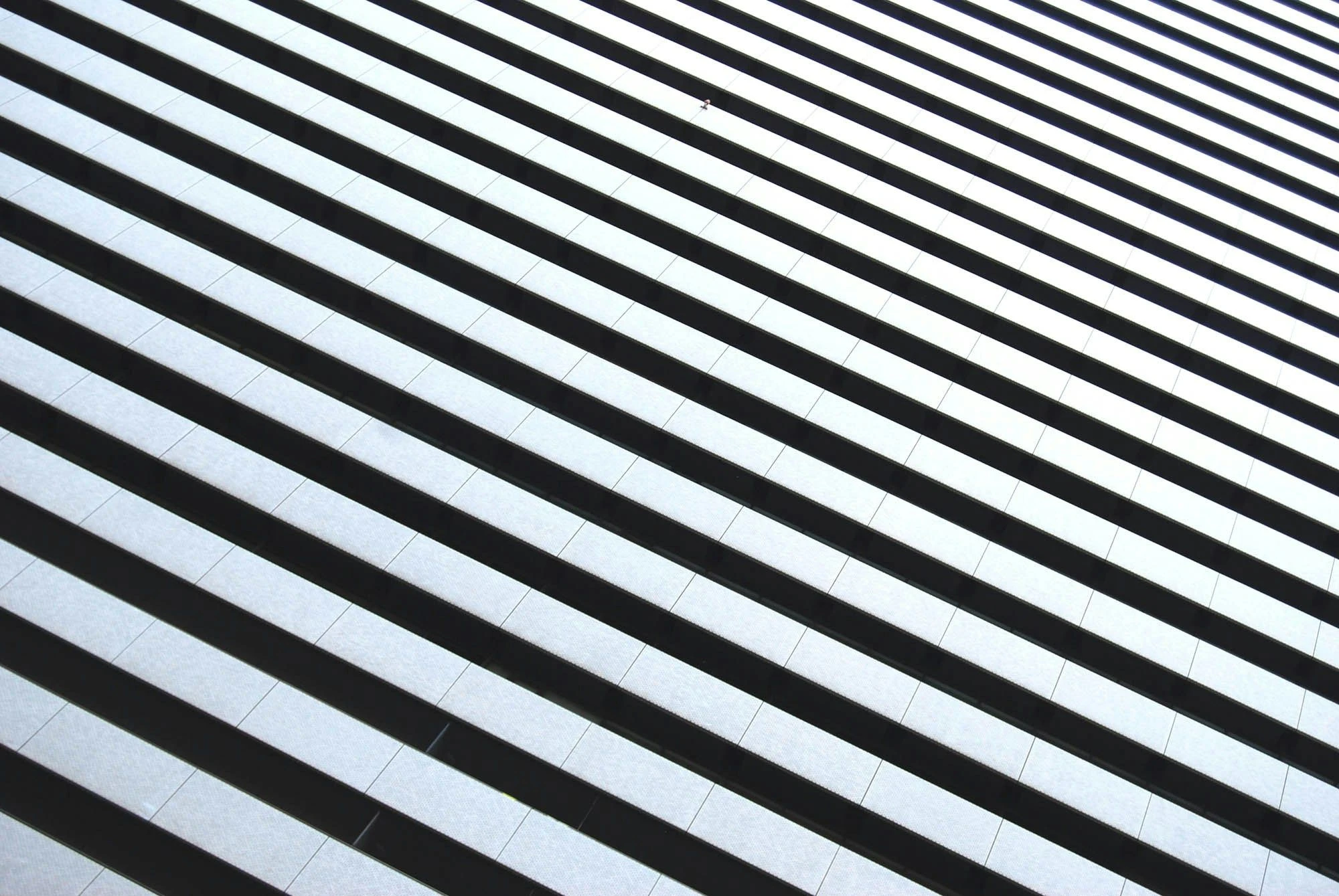 Stripe Unveils Payments Products Powered by 'Gale-Force Tailwind' Stablecoins