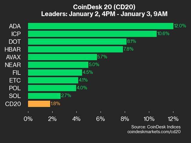 CoinDesk 20 Performance Update: ADA Gains 12%, Leading Index Higher