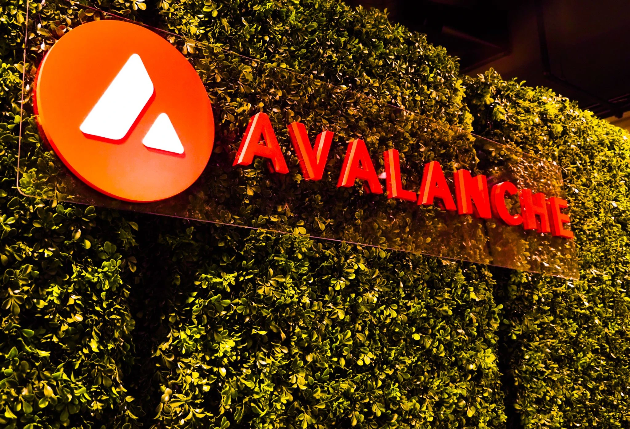 New Jersey's Bergen County to Tokenize $240B in Real Estate Deeds on Avalanche Network