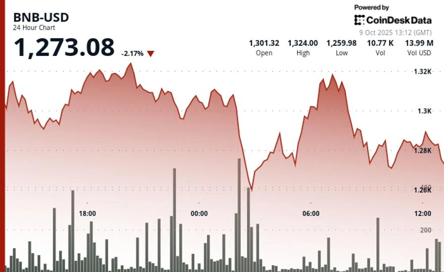BNB Falls 2% as Memecoin Trades Unwind Despite 'Hard to Ignore' Rally