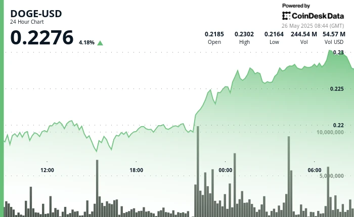 Dogecoin Extends Rally as Whale Accumulation Signals Growing Confidence