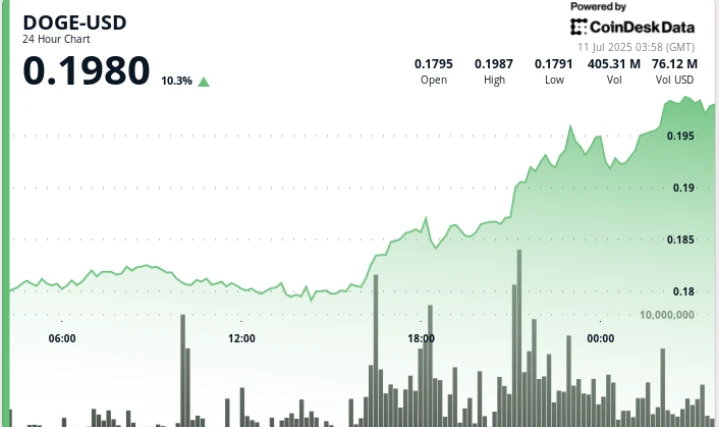 DOGE Blasts 10% Higher on Volume Spike, But SHIB's Steady Gains Pose a Tactical Choice
