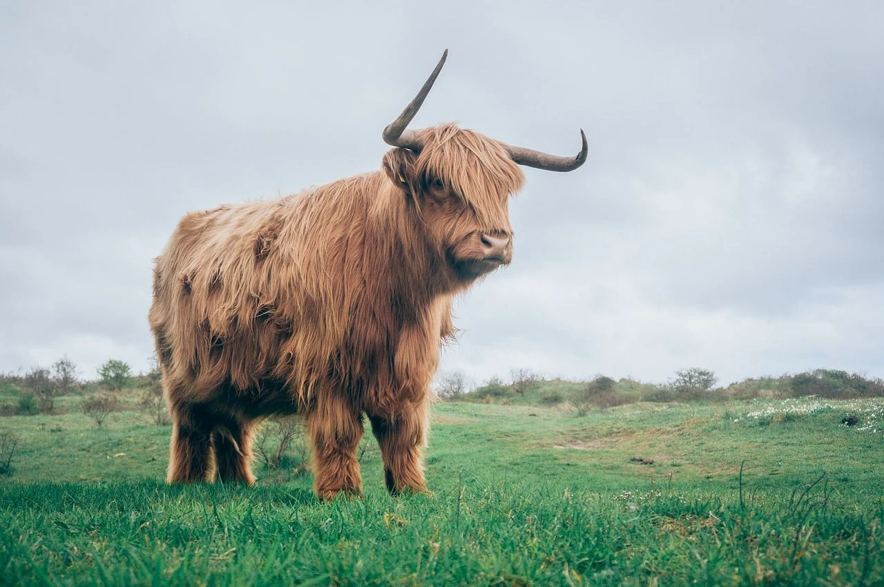 Privacy-Focused Zcash Tops Key Resistance Above $40 to Flash Bull Signal