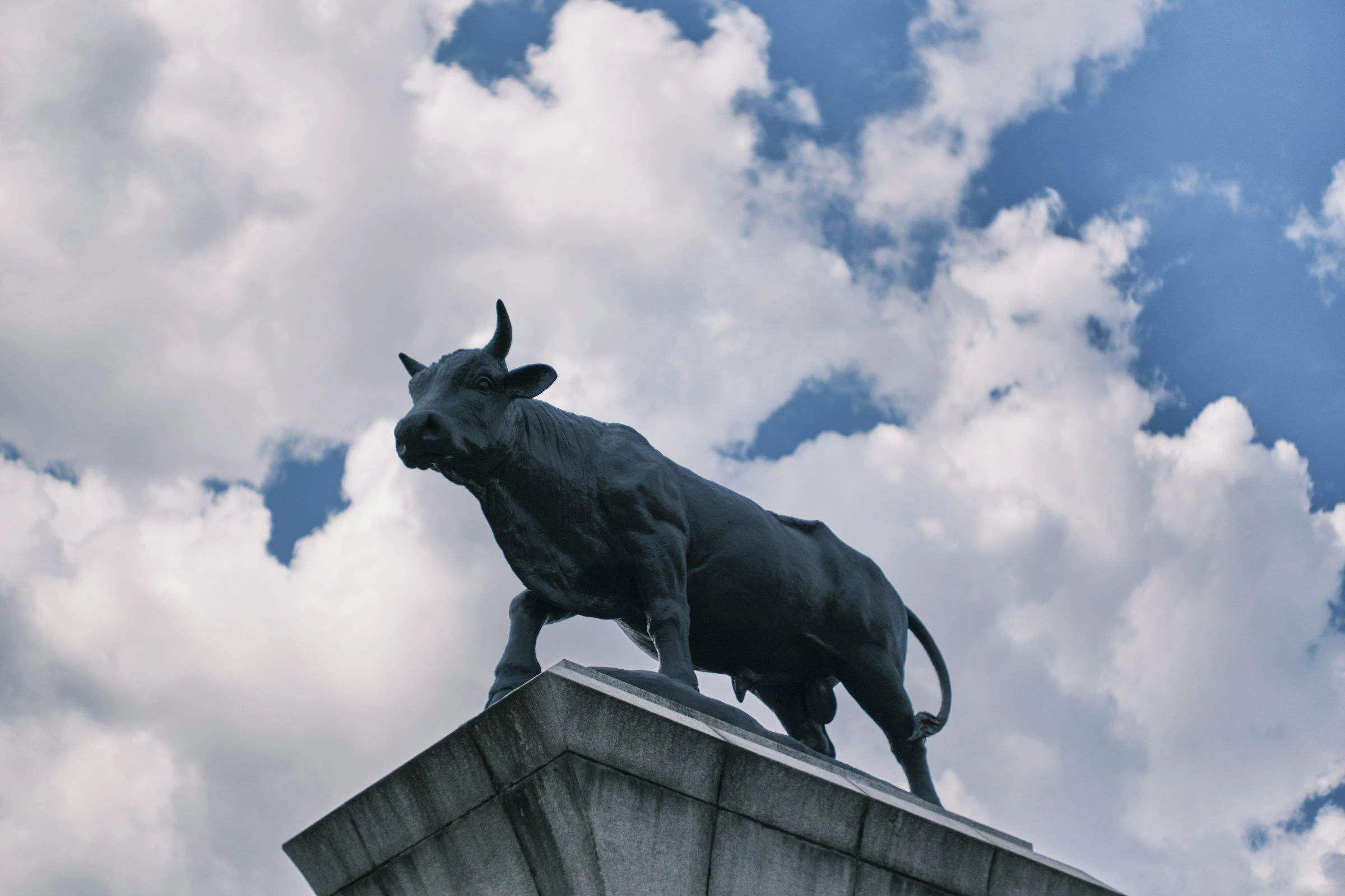 Crypto Daybook Americas: Bitcoin Options Point to Gains as Bullish Flow Builds Ahead of CPI Data