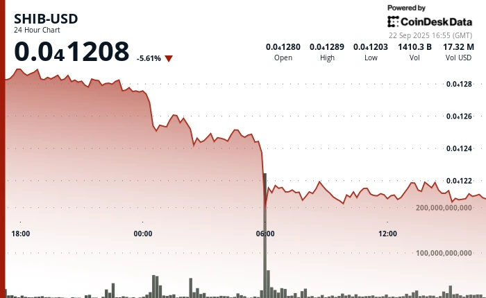 Shiba Inu Tanks 5%, SHIB-DOGE Bounces From Record Lows