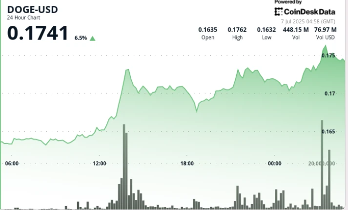 Dogecoin Sees Heavy Buying From Whales as Elon Musk Supports BTC in New Party Rollout