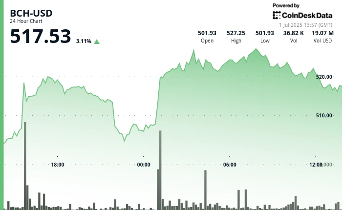 Bitcoin Cash Surges 5%, Chalks Out Bullish Golden Cross Against BTC
