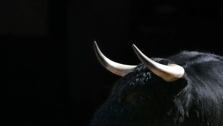 Taurus Releases Open Source Privacy Tech for Stablecoins, Starts With Circle's USDC
