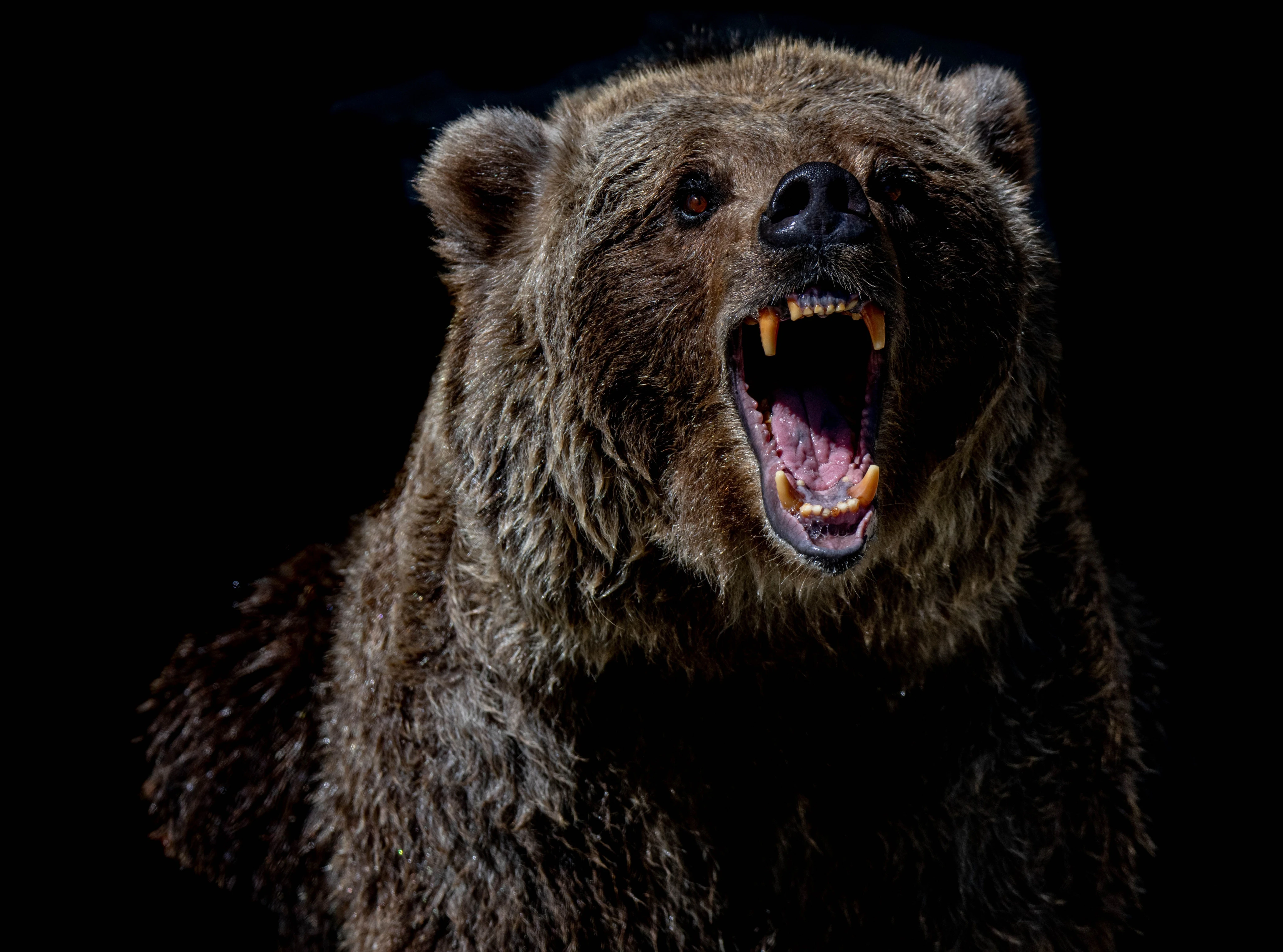 Bitcoin Tumbles Back Below $110K as Crypto Bounce Fails, Ether Plunges 8%