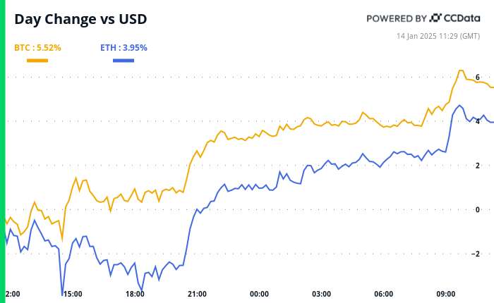 Crypto Daybook Americas: Massive Selloff Doesn't Stop Bitcoin Institutional Adoption