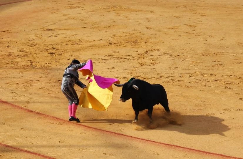 Bitcoin’s $80,000 bull bet just took over the market