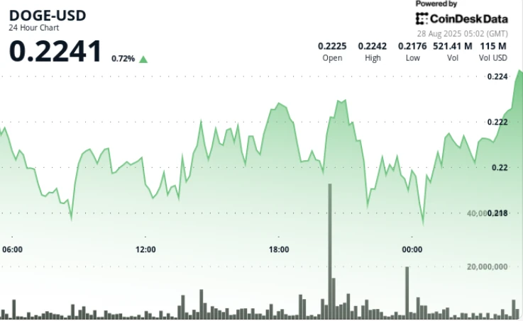 DOGE Faces Selling Pressure as $200M Whale Transfer to Binance Caps Rally