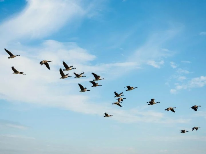 The $700 million migration: Why Solv Protocol is ditching LayerZero for Chainlink