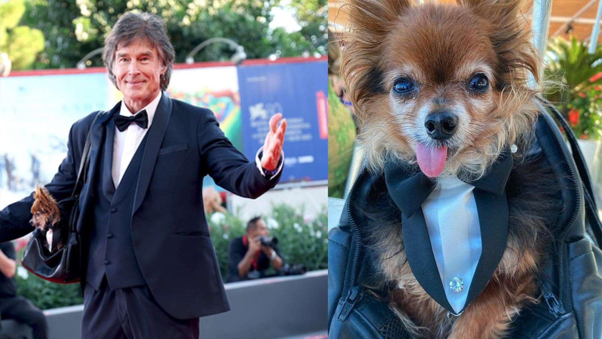 La nuova star dei social è il cane di Ronn Moss: Prince a Venezia ha sfilato in smoking