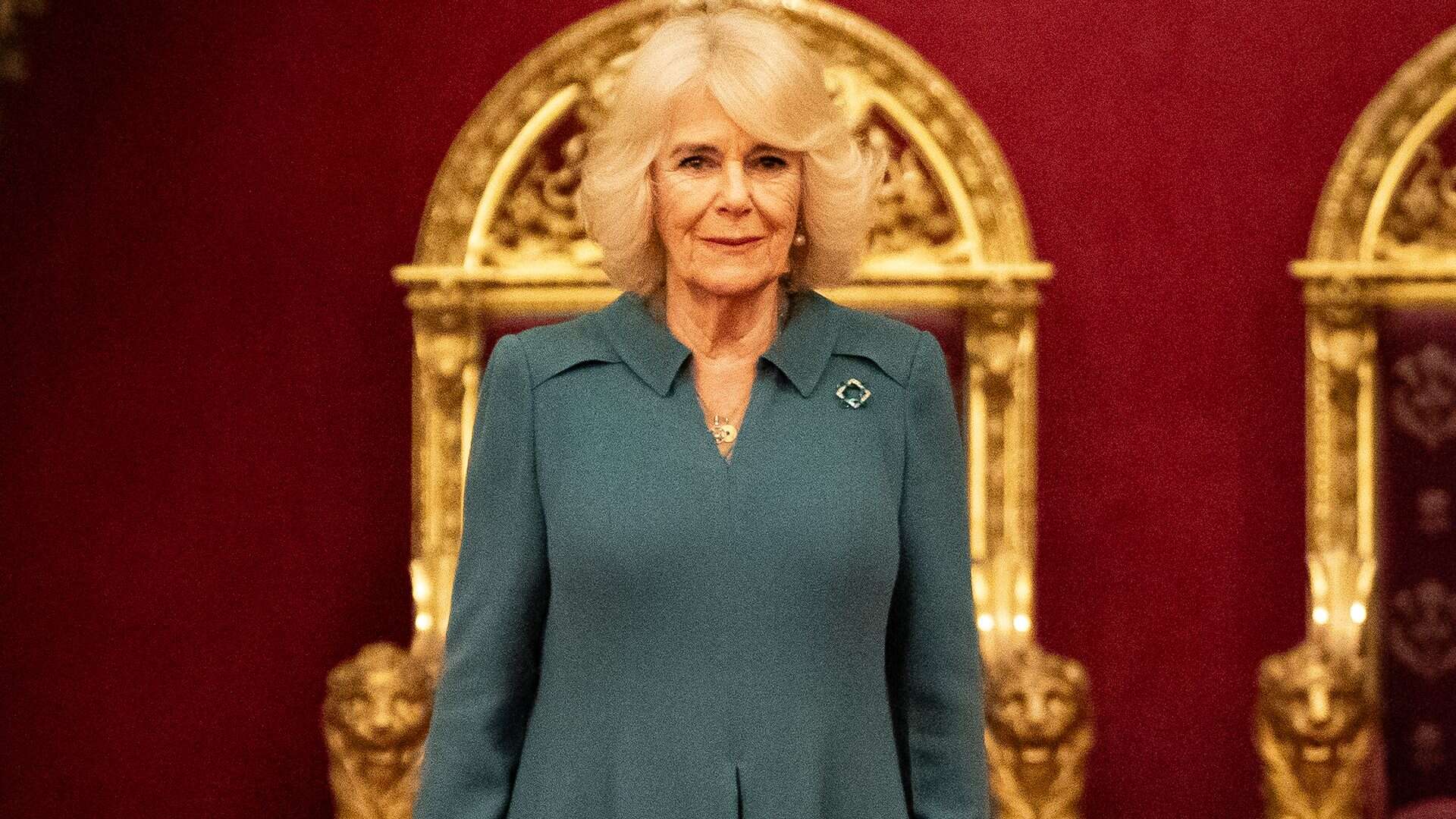 Il dettaglio nascosto sull’abito di Camilla: il significato della spilla a forma di gufo e quanto vale