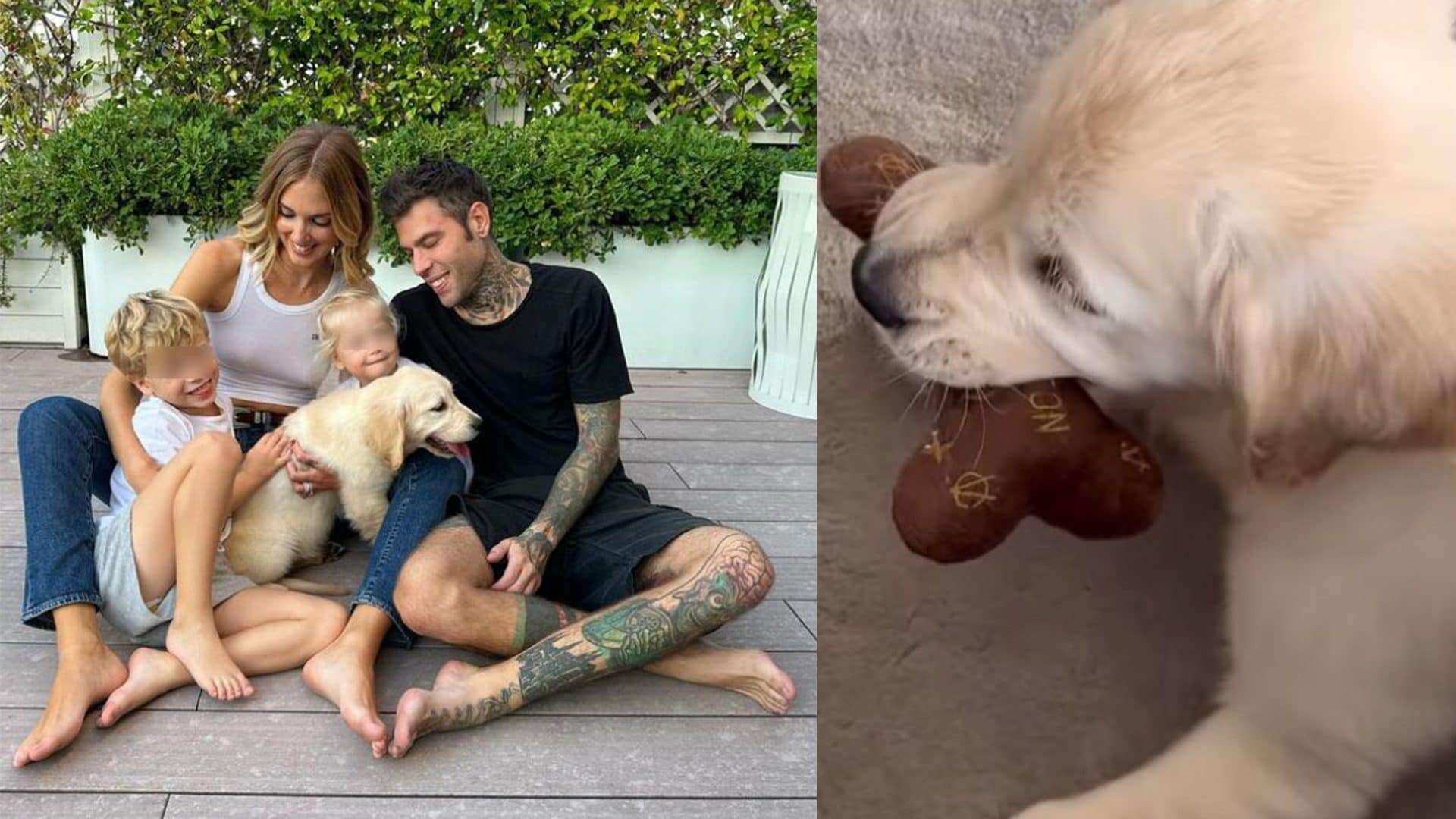 Paloma, il nuovo cane di Chiara Ferragni ha l’osso peluche “griffato” (ma è un fake)