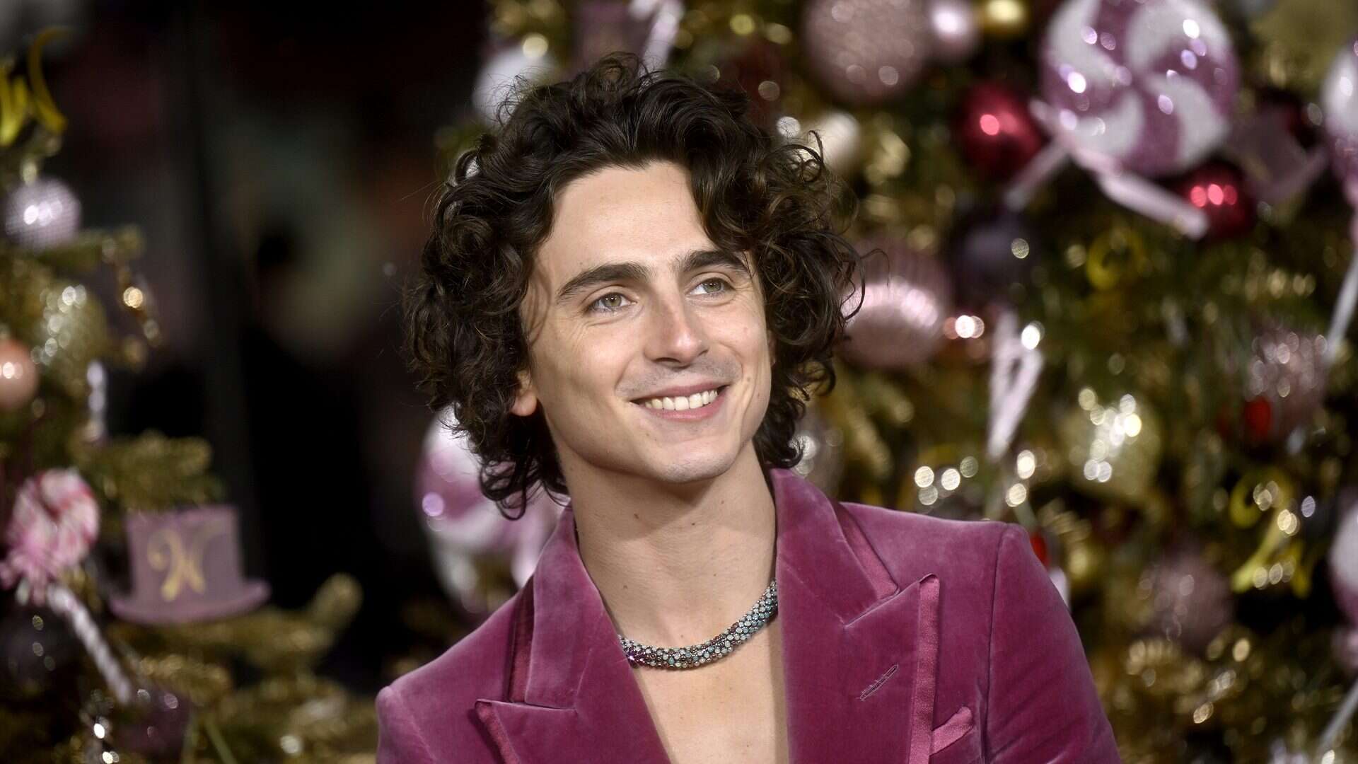 Timothée Chalamet alla prima di Wonka: il significato della preziosa collana che sembra fatta di caramelle