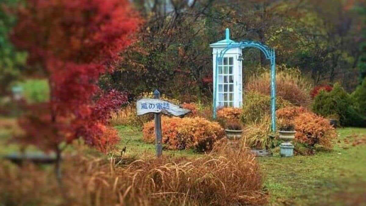 Telefono del vento, dove si trova in Toscana la cabina per parlare con chi non c’è più