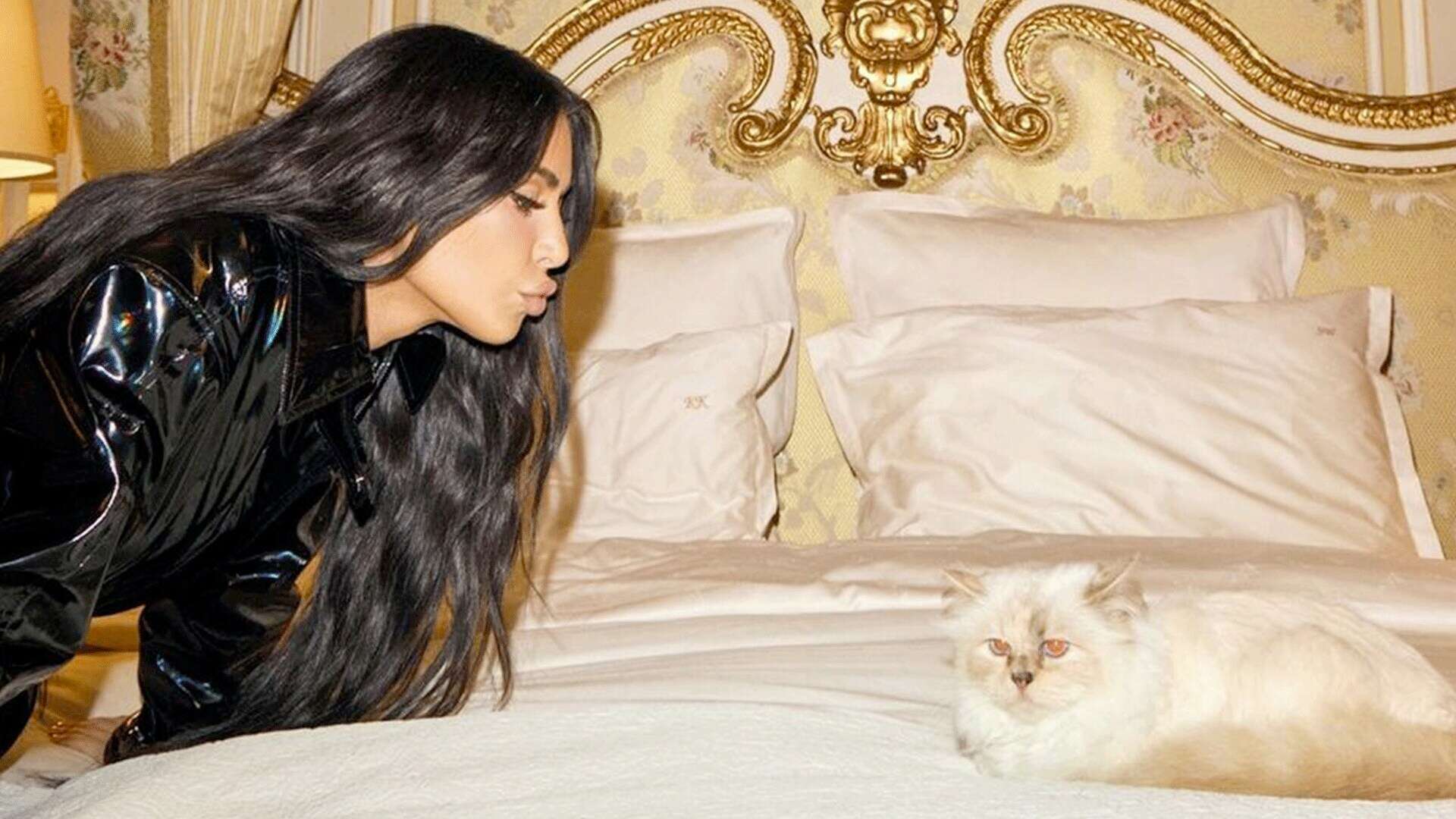 Kim Kardashian aggredita da un gatto (quello di Karl Lagerfeld), un video mostra cosa è successo