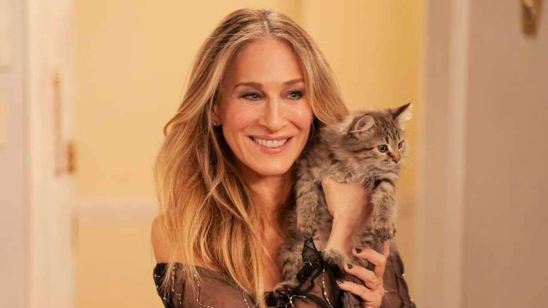 Sarah Jessica Parker adotta la gattina di Carrie in And Just Like That (ma il suo nome non è Shoe)