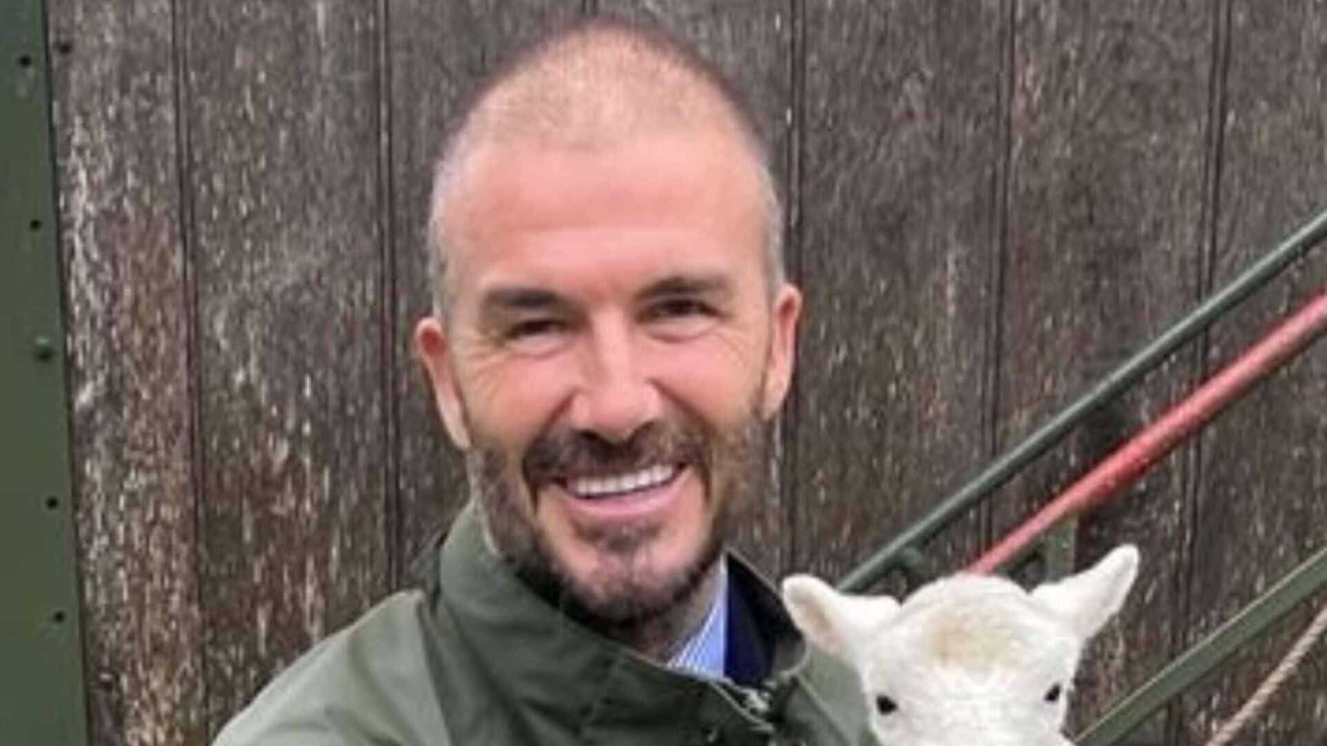 Cosa è successo ai capelli di David Beckham?