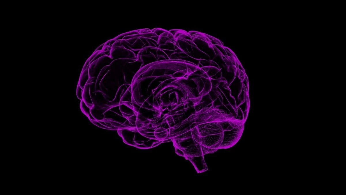 Identificato un nuovo sottotipo di depressione: “Spiega perché i farmaci non sono sempre efficaci”