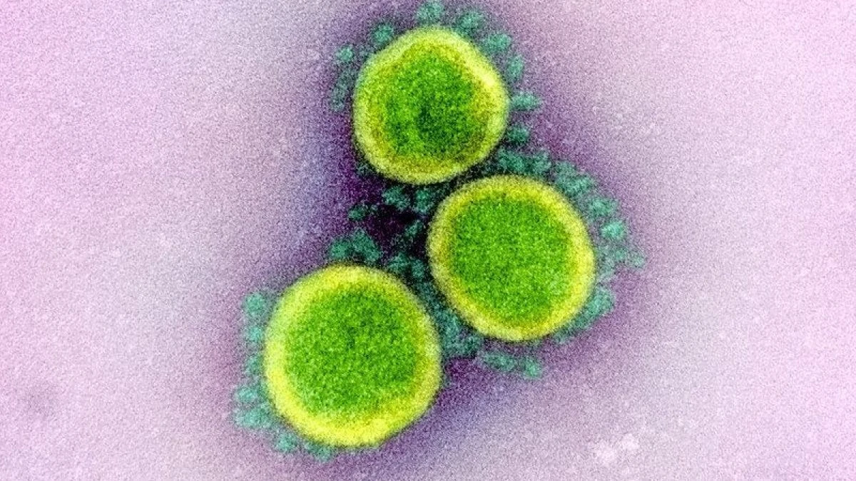 Quali sono i sintomi di Covid della nuova variante Eris arrivata anche in Italia