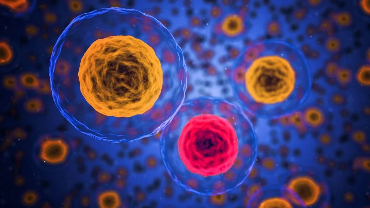 Scoperte cellule T “superiori” nei guariti dal cancro terminale: speranze per terapia rivoluzionaria