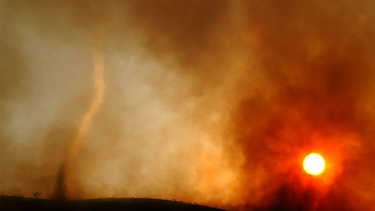 Perché il cambiamento climatico può diffondere nuovi virus in Italia: lo spiega l’esperto SIMIT