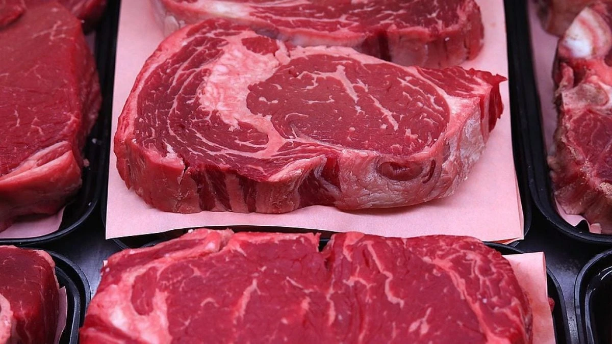 Sindrome alfa-gal, cos’è l’allergia alla carne rossa scatenata dal morso di zecca