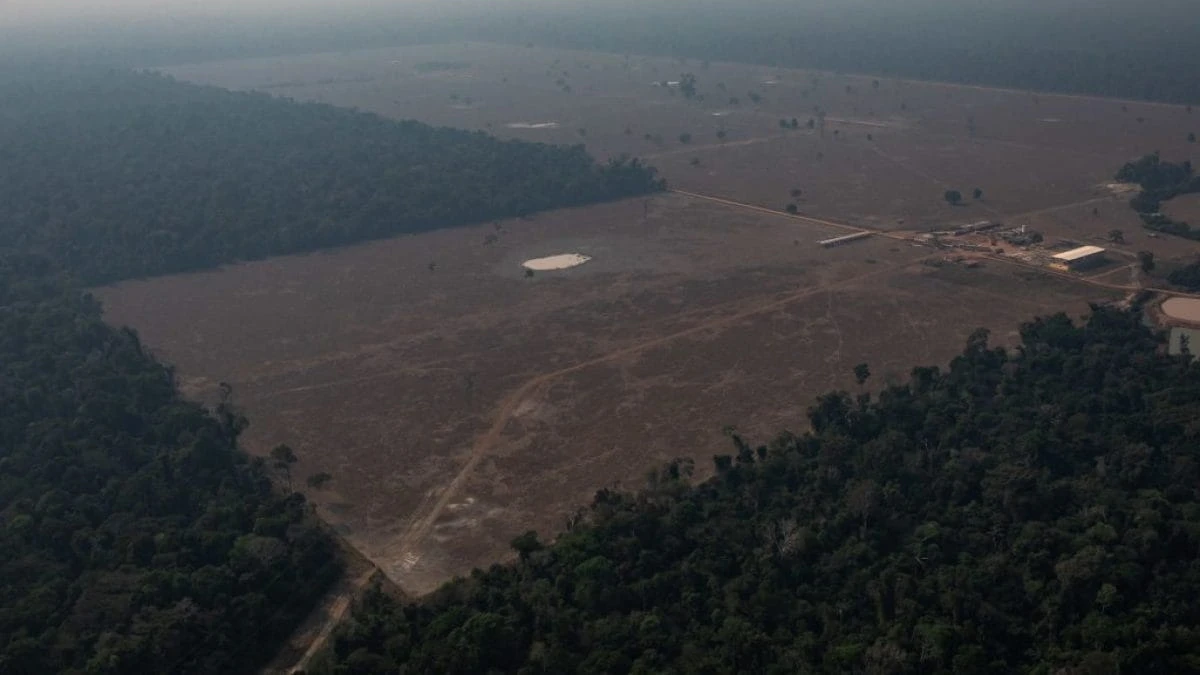 L’Amazzonia respira, deforestazione ridotta del 33,6% nel 2023: entro il 2030 stop definitivo