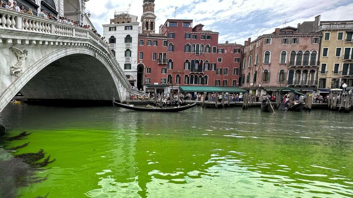 Perché l’acqua di Venezia è diventata verde fluorescente: tutte le ipotesi, spiegate da un chimico