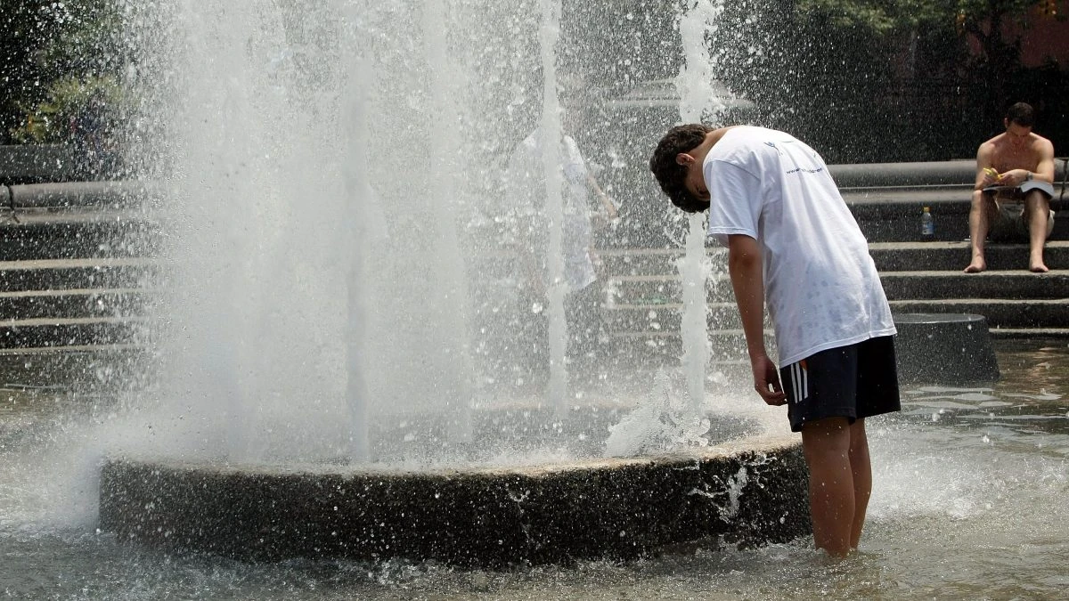 Perché più fa caldo, più rischiamo di ammalarci a causa di questi virus